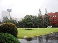 Tokyo Plant keeps the premises green.